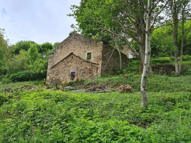 Maison, Devesset
