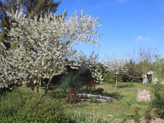 Maison de 100m2 à louer sur Chenoise