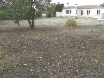 Méditerranée, La Languedocienne Montpellier, Maurin, Hérault, Languedoc-Roussillon