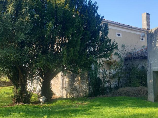 Maison de 400 m² habitables à vendre, proche Barbezieux 16, dépendances d’environ 1 000 m², terrain de 12 000 m² !