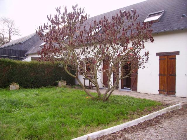 Maison de 46m2 à louer sur Rolleville