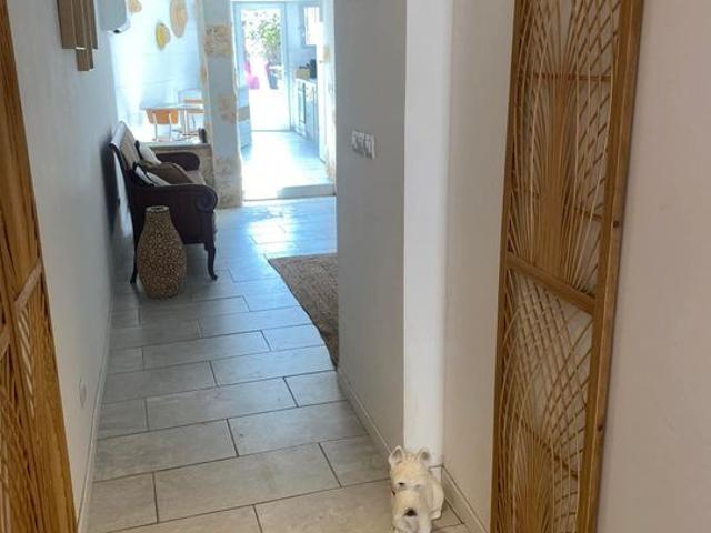 Maison de 55m2 à louer sur Villeneuve lès Avignon