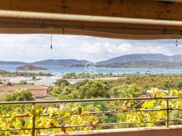 20124, Corse-du-Sud, Corse - Jardin, Cave