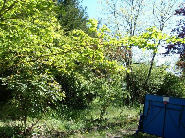 Maison de 80m2 à louer sur Saint Yrieix sur Charente