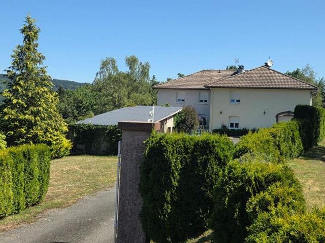 Maison de 8 pièces de luxe en vente à Le Syndicat, Grand Est