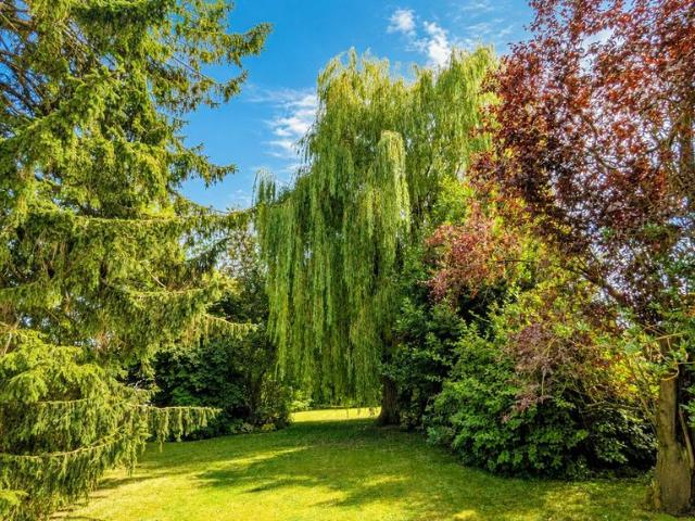 Maison de 8 pièces de luxe en vente à Leers, Hauts de France