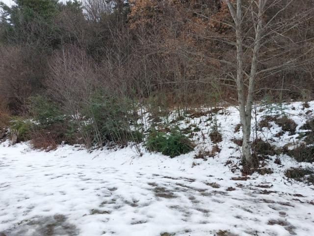 Maison de 95m2 à louer sur Savines le Lac