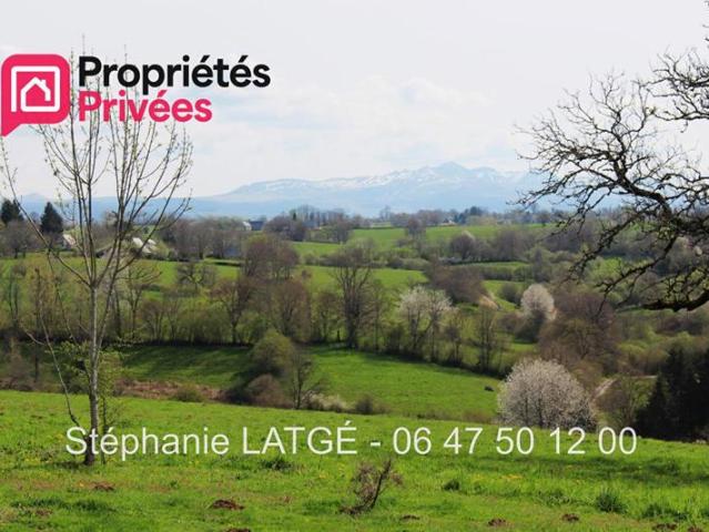 Maison de campagne 1 à 2 chambres à Larodde 63