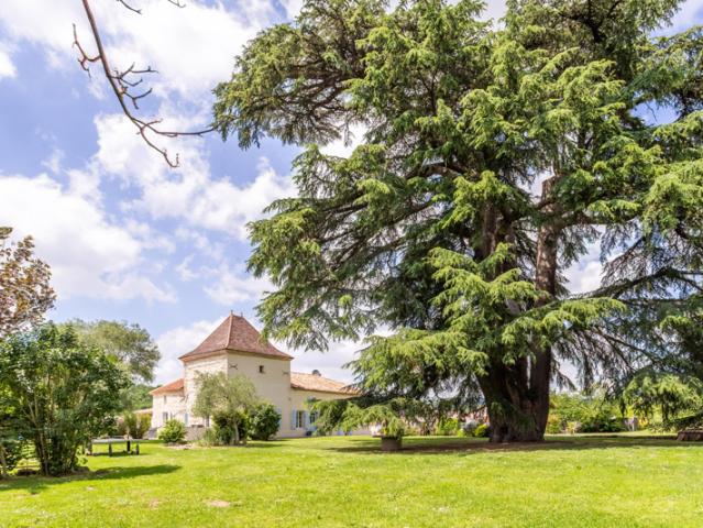 Maison de campagne avec annexes, 3 x piscines et vue