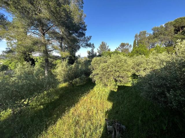 Maison de campagne avec magnifique terrain arboré, et vue déga
