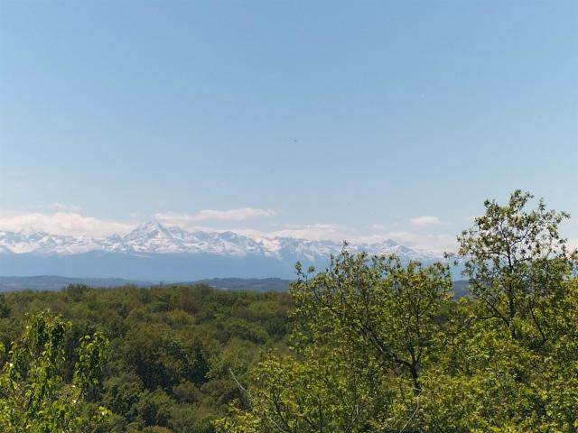 Maison de campagne avec piscine, vue sur les Pyrénées, 2ha 150m² Masseube