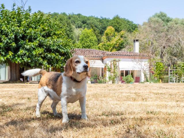Maison de campagne, garage, piscine, terrain