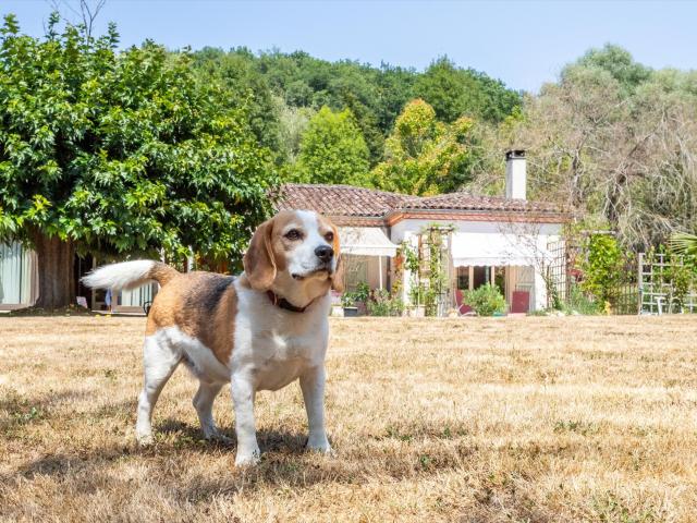 Maison de campagne, garage, piscine, terrain. 169m² Saint Maurin