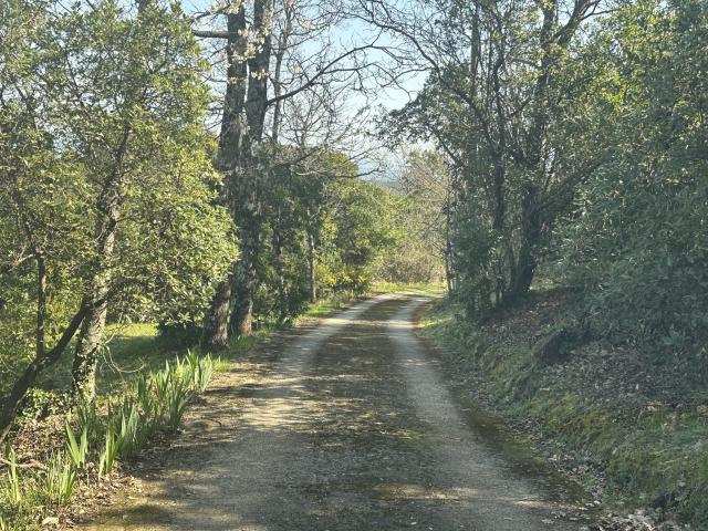 Maison de campagne sur terrain de 43 980 m2
