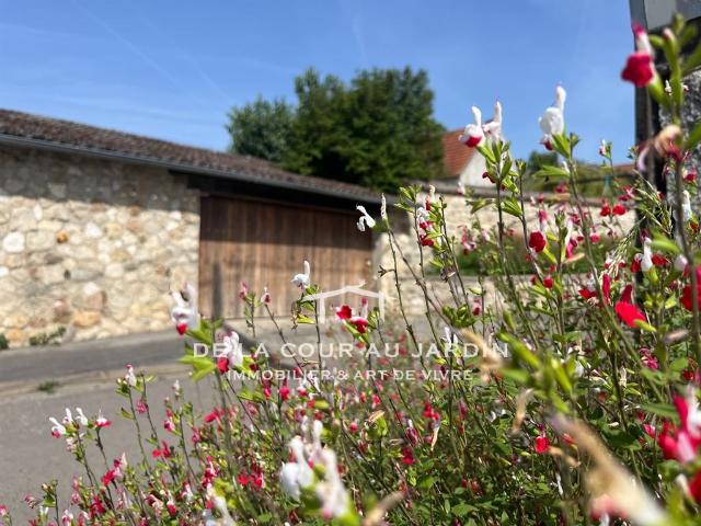 Maison de caractère avec jardin d'hiver et terrasse convivia. 174m² Dammartin En Goële