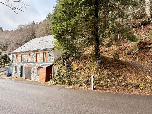 Maison de caractère à fort potentiel Mont Dore 9 pièce s 224 m2