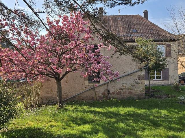 Maison de caractère de 181,50 m² sur un terrain de 1703 m² 182m² Niederhaslach