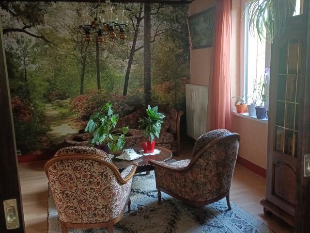 ✨ Maison de caractère de 1934 Grand jardin Quartier très recherché