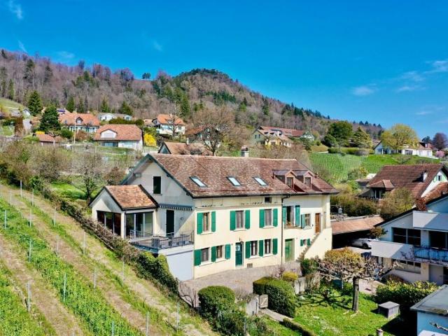 Maison de caractère entre vignes et lac, proche de Nyon