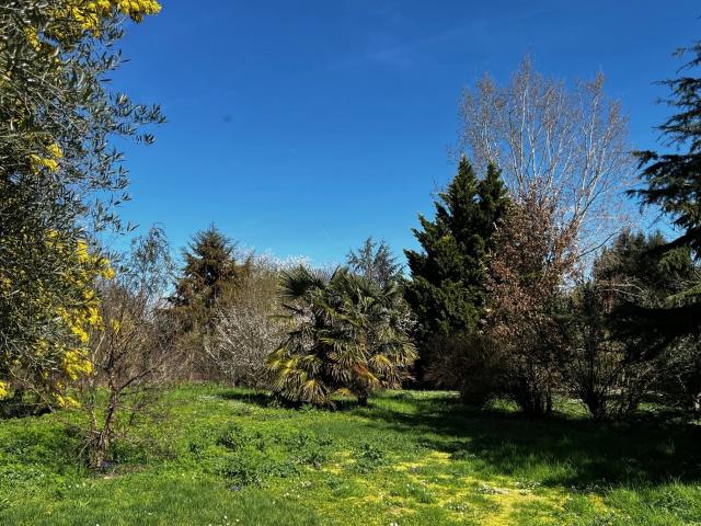 Maison de caractère sur 1,24 ha 156m² L'Isle en Dodon