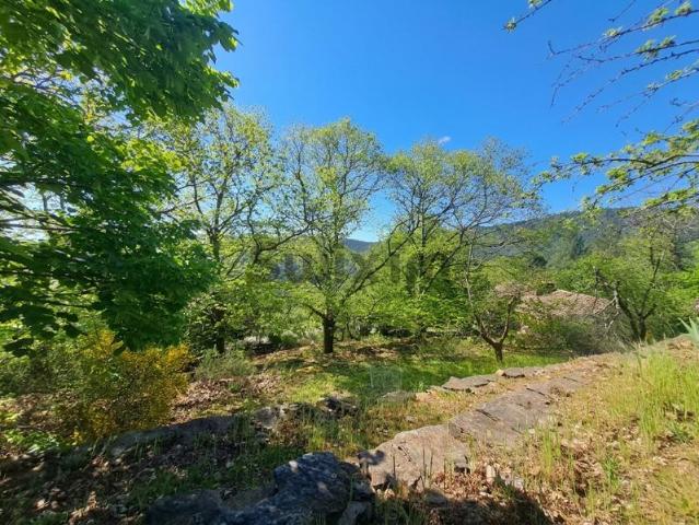 Maison de caractère sur plus de 2 hectares attenants
