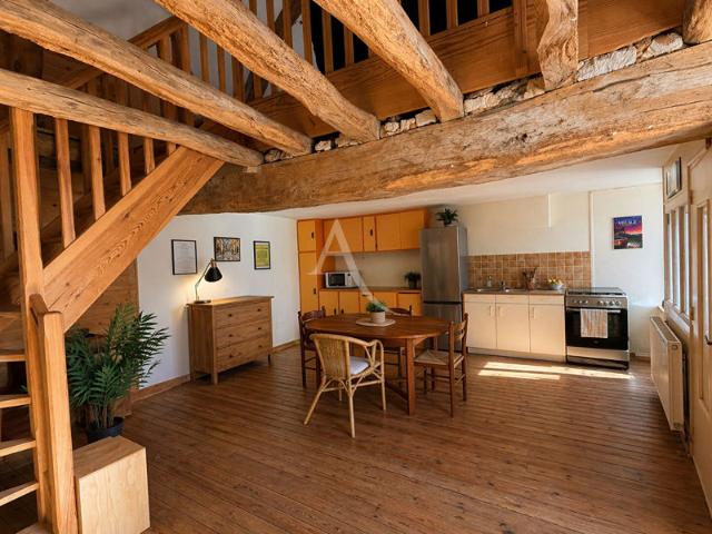 Appartement individuel de charme en pierre 3 pièces Idéal premier achat ou investissement Bagneux