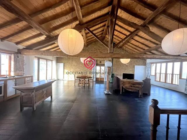 Double Maison de Charme secteur L'Isle en Dodon avec Piscine