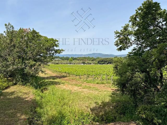 maison de famille a vendre entre campagne, vignes et aperçu. 130m² Gassin