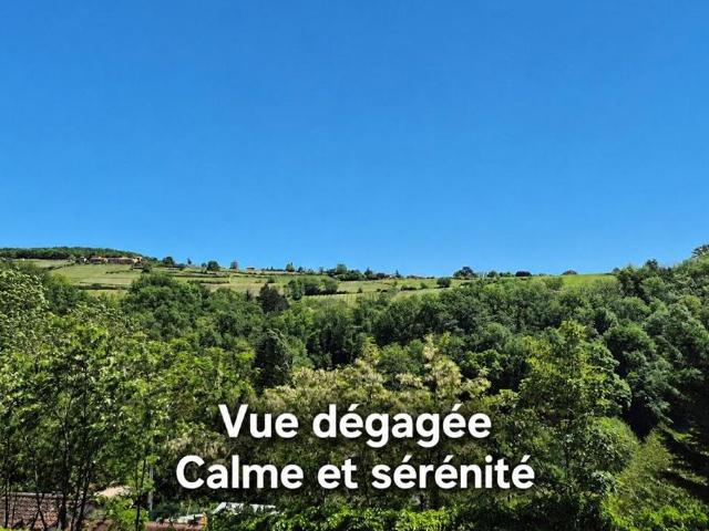 Maison de luxe de 6 pièces en vente à Oingt, France
