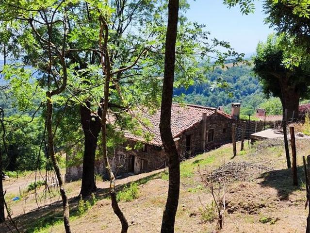 Maison de luxe de 10 pièces en vente à La Bastide, Occitanie