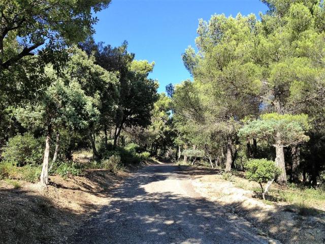 Maison de luxe de 12 pièces en vente à LOURMARIN, Lourmarin, Provence Alpes Côte d'Azur