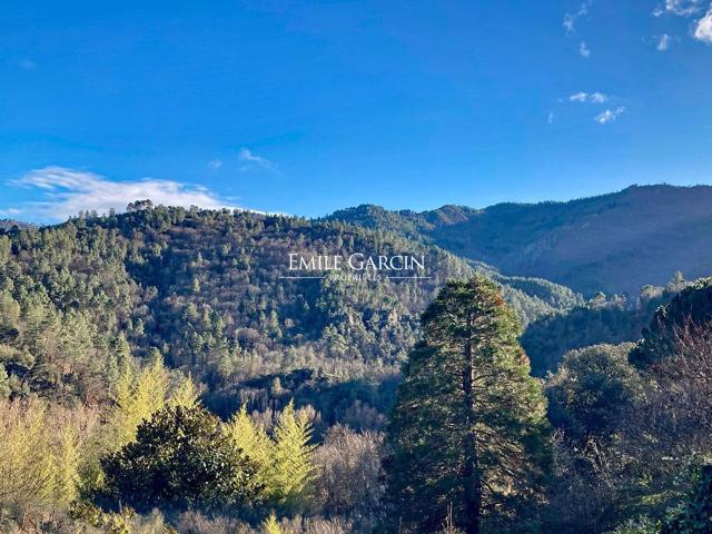 Maison de luxe de 14 pièces en vente à Le Collet de Dèze, Occitanie