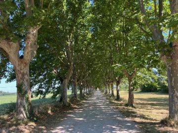 Maison de 24 pièces de luxe en vente à Avignon, France