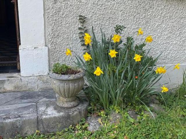 Maison de maître à fort potentiel !