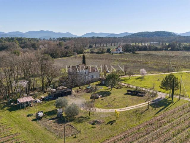 Maison de Maître de caractère vue sur les vignes 220m² La Motte