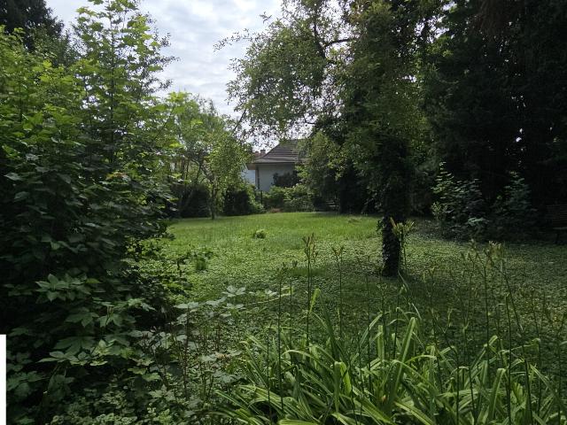 Maison de Maîtres Charme, Parc arboré et Adresse d’Exception à Sarreguemines Blies