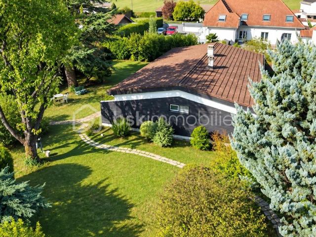 Maison de plain pied avec grand terrain