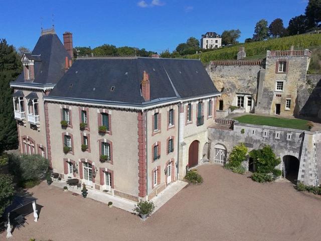 Maison de 8 chambres de luxe en vente à Vernou sur Brenne, Centre