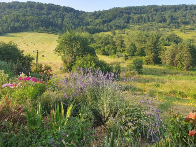 MAISON DE VILLAGE AVEC GRANGE ET JARDIN ECOLOGIQUE
