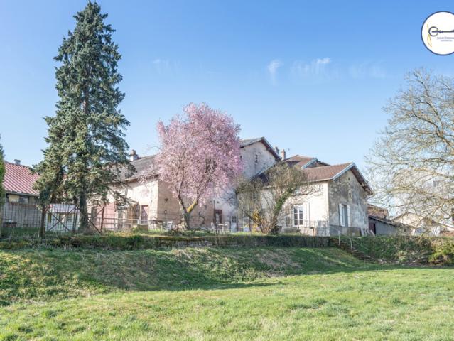 Maison de village Dompaire 8 pièces 198 m2