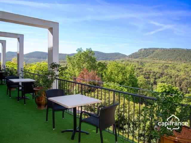 Maison d'hôtes de charme avec piscine à vendre à BAGNOLS EN FORET 83