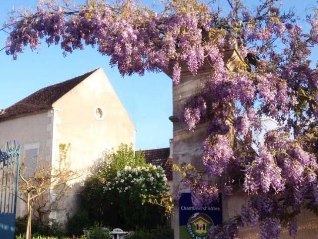 Maison d'hôtes 217m² Lucy sur Yonne