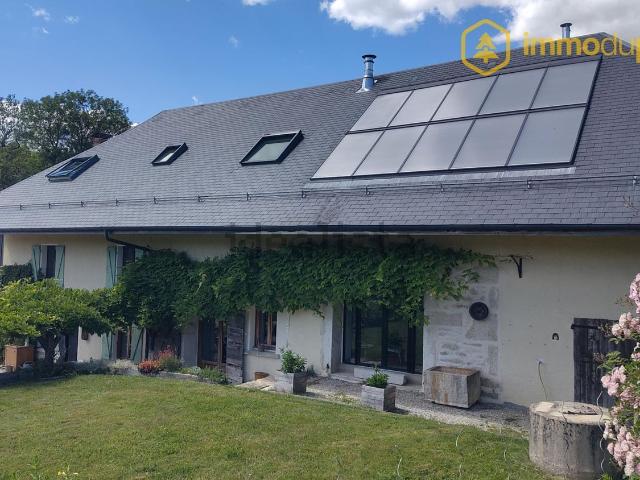 Maison, Entrelacs