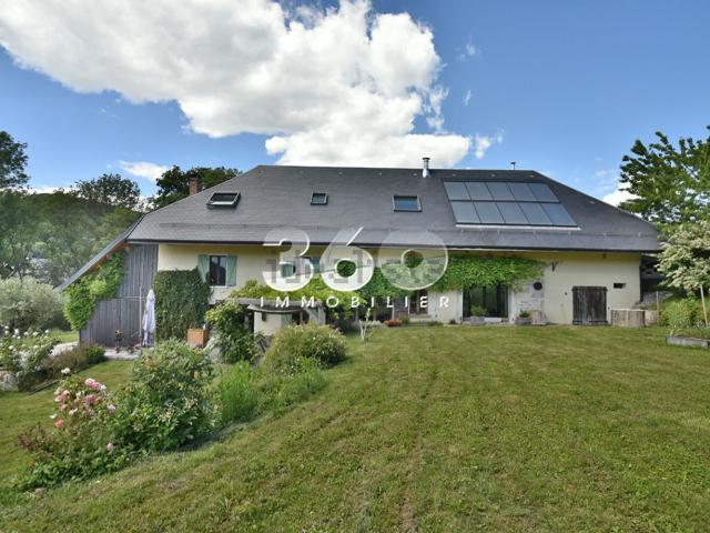 Maison, Entrelacs