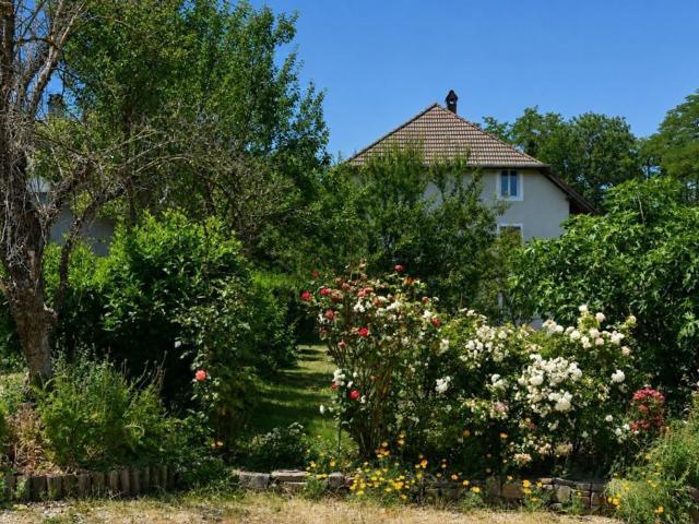Maison, Entrelacs