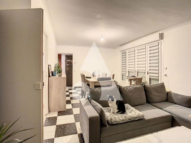 Maison en semi plain pied 3 chambres et bureau sous sol, terrasse et jardin