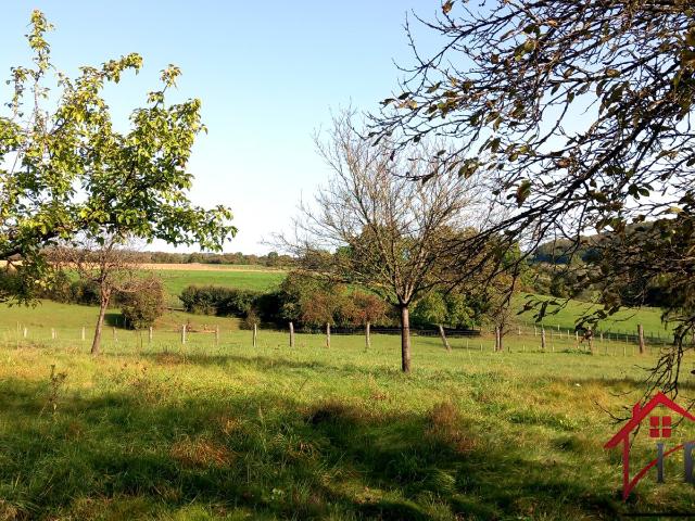 Maison en Pierre de 258 m2, Atelier XXL, 3 Hangars et 2 Hectares de Liberté !