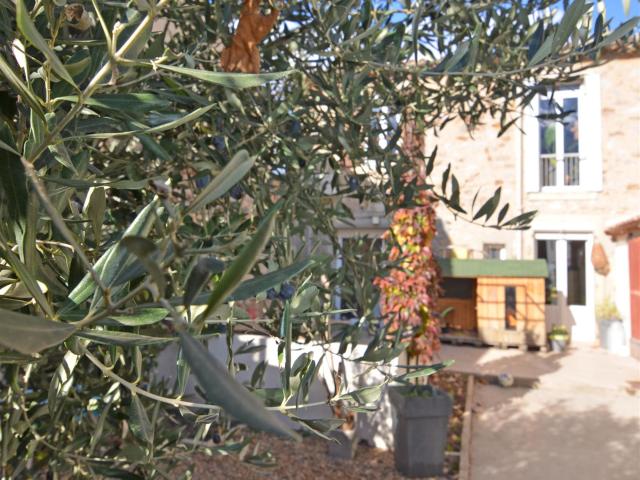 Maison en pierre rénovée avec jardin/cour à Caunes Minervois 144m² Caunes Minervois