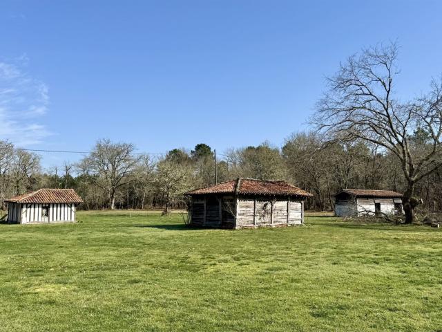 Maison en pierre 206m2 sur airial d'1hectare4 dépendances. 206m² Argelouse