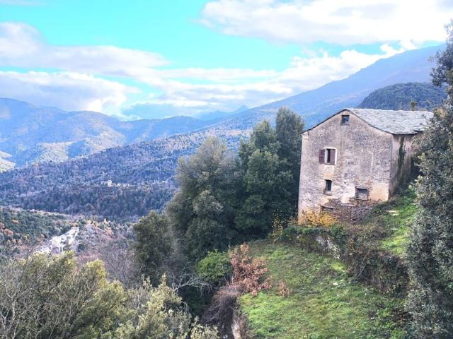 Maison en pierre 7 pièces, 120 m2 + caves, à rénover entièrement à PIE D'OREZZA, Campodonico HAUTE CORSE